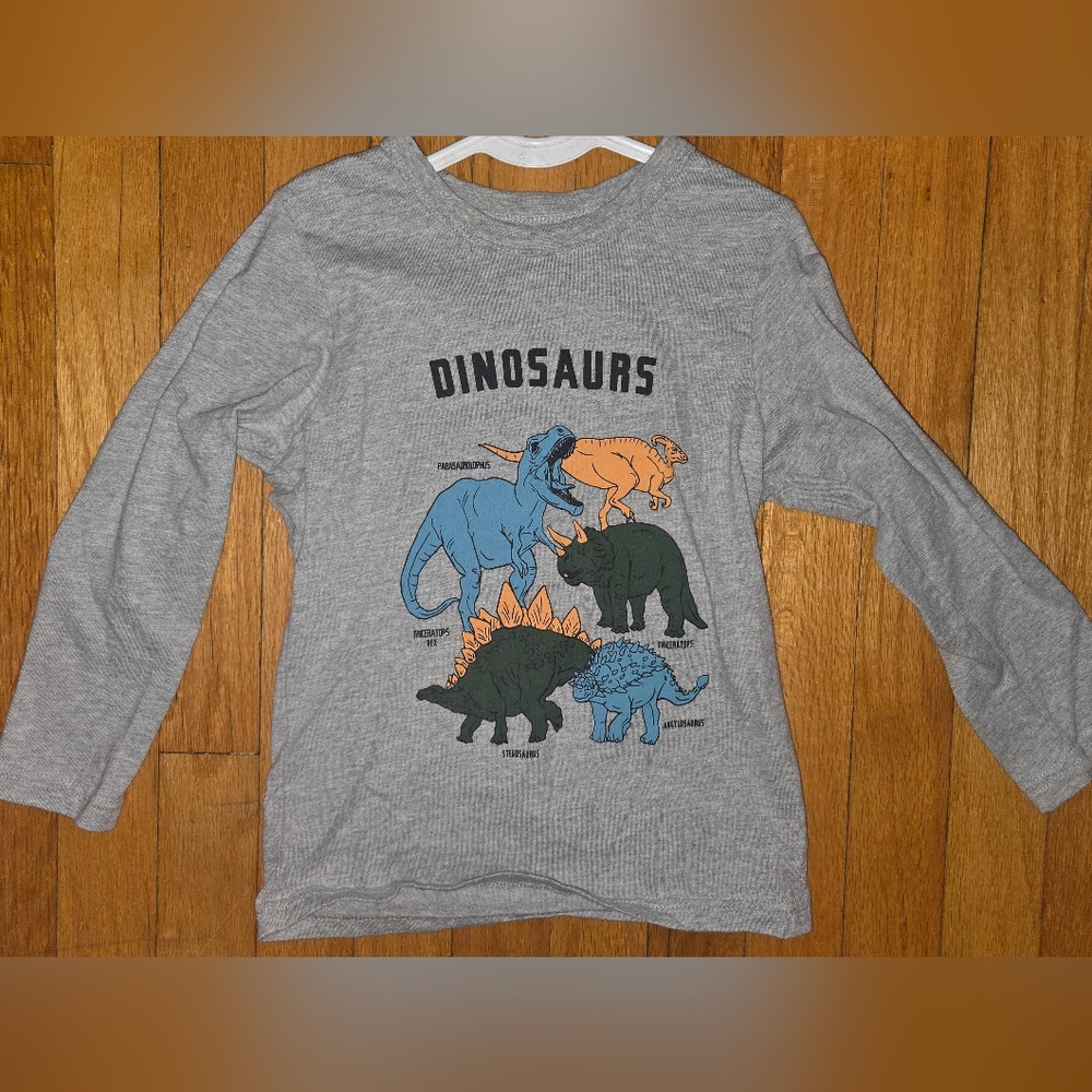Gray Dinosaur Graphic Long Sleeve Shirt